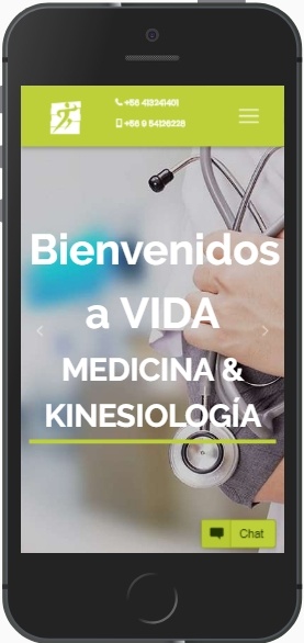 jsm jorge saez sitios web medicina y kinesiologia vida medkinevida img-5